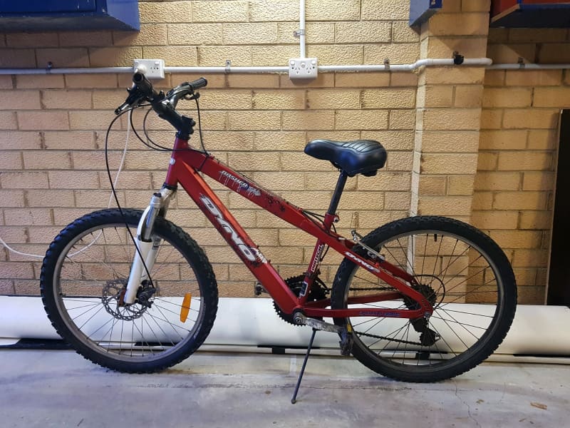 dyno basher mountain bike