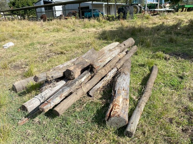 Timber fence posts and strainer posts.63011990814467111