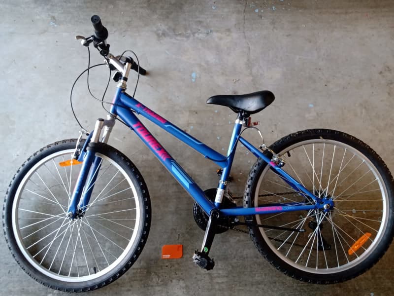 ladies tourex bike
