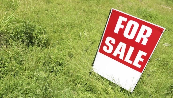 Looking for land (small) - around $150k629957179921931113