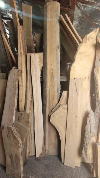 Thick Blackbutt Timber Slab- 3140mm63005707765121110