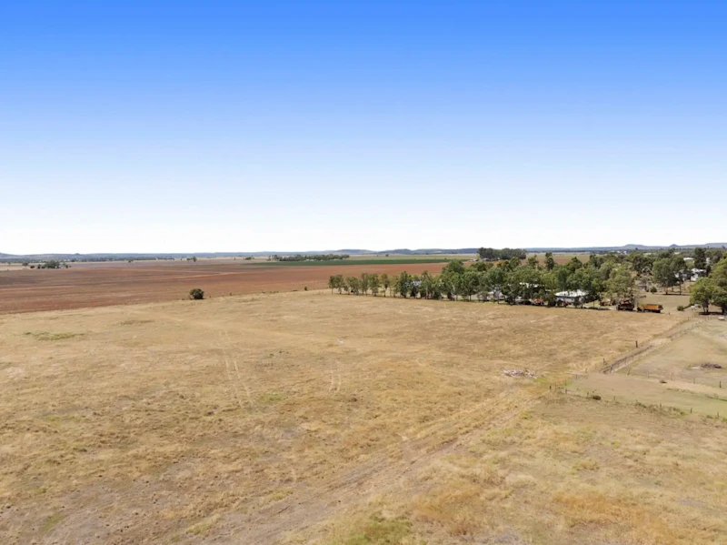 Lifestyle, Horses - 5acres63006483799810114