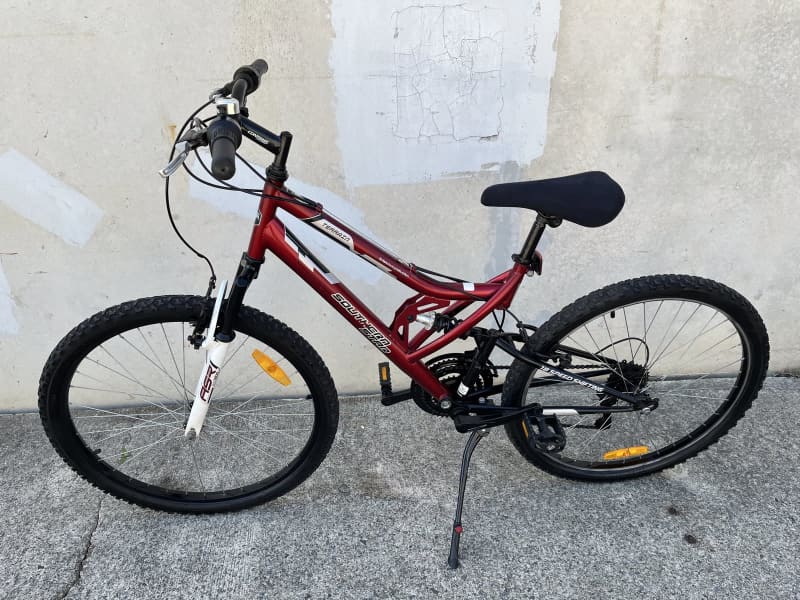 southern star 20 inch bike