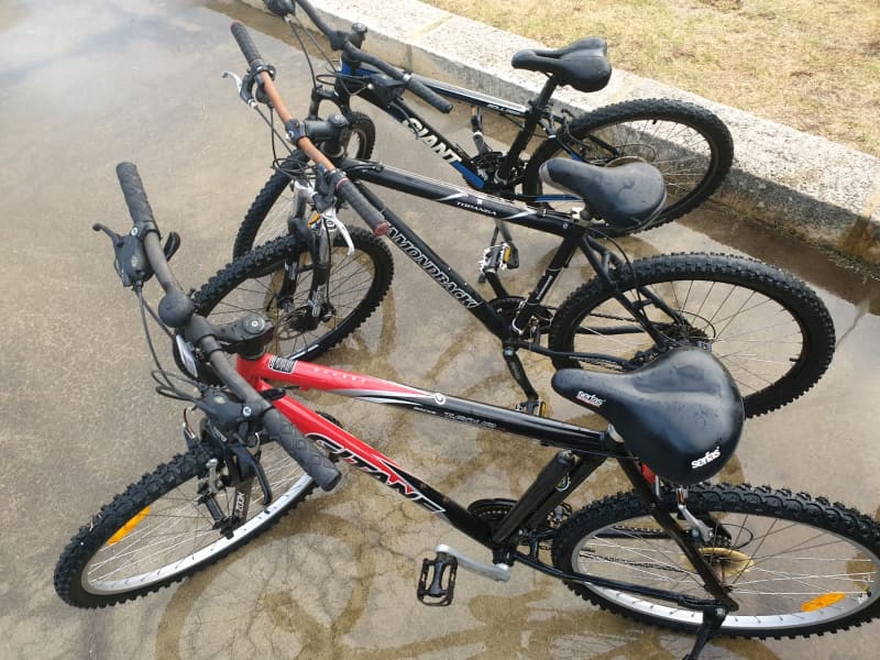 Details 91+ about mountain bikes australia best NEC