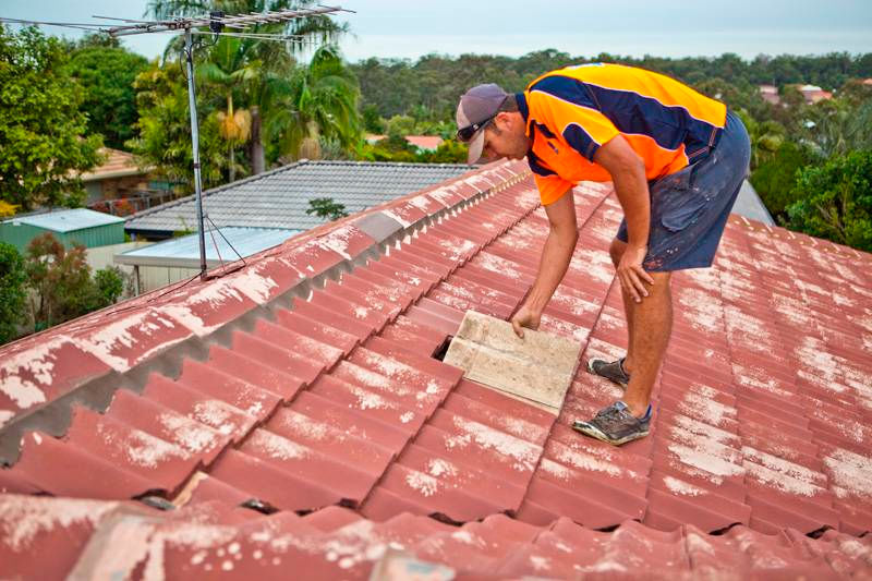 FRANCHISE - Roof Cleaning and Painting - FULL TRAINING Provided!63438904606337111