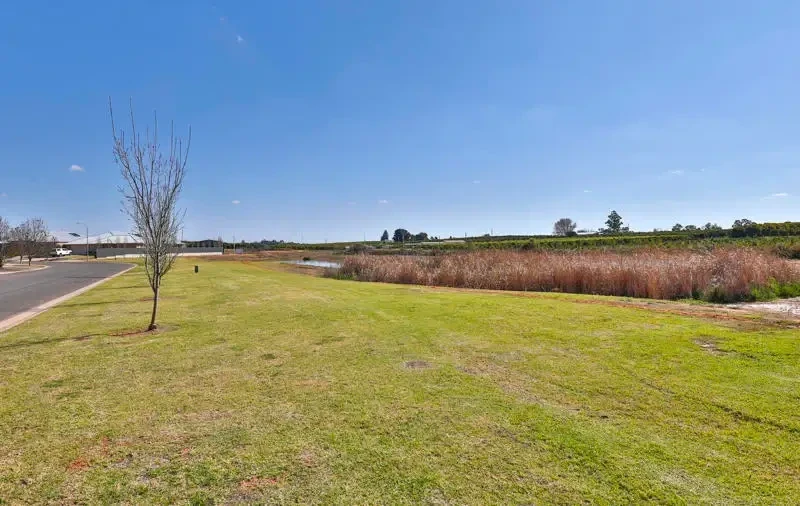 LAND IN THRIVING GOL GOL63438463801347112