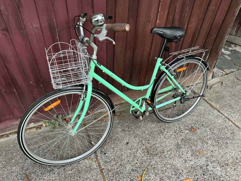 Holland vintage cruiser online