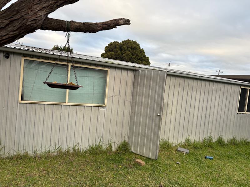 Big Pergola and Shed Available- Pre-demolition63011558100738112