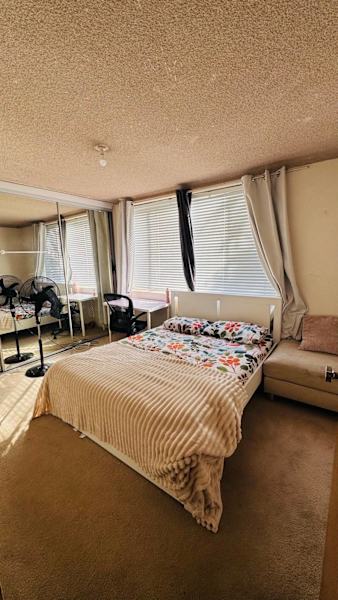Short term : 1 BHK for rent Near Westmead Station and hospital62918283597442119