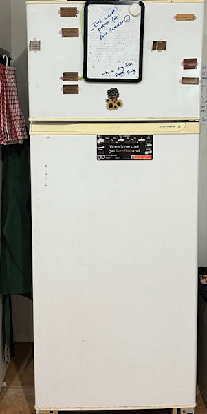 Fridge - Working Condition 63015641794178112