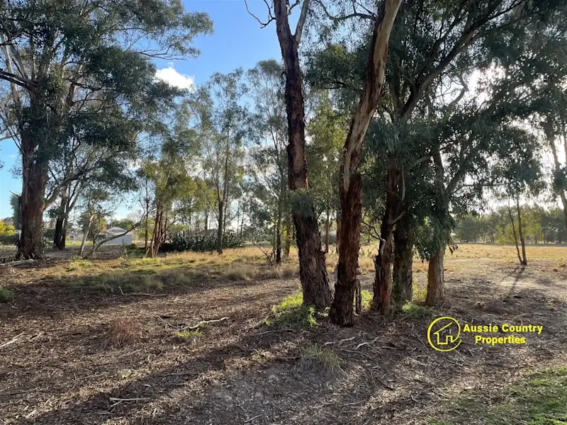 Build Your Dream Home in Beautiful Berrigan: Land for Sale Now!63006803021569113