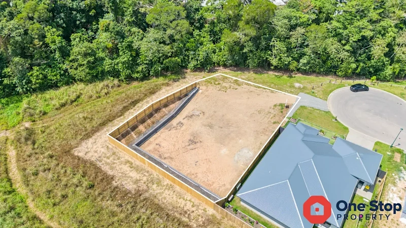 Rare Rainforest-Edged Homesite - Titled, Improved, and Ready to Build!62882789371906112