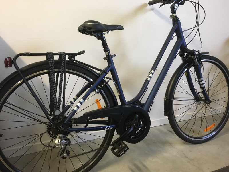 gumtree womens bike