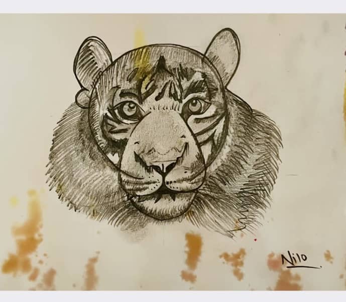 A Korean tiger Drawing by sungsil yun  Saatchi Art