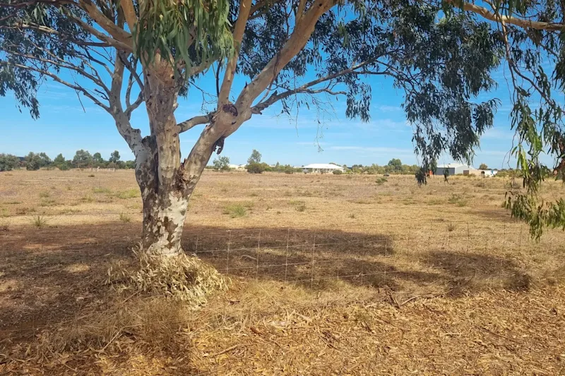 Prime 1-Hectare Parcel in Deepdale – Secure Your Slice of Paradise62995740912898113