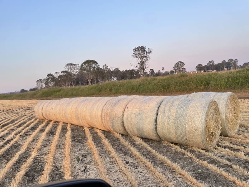Dubbo Hay Sales And Contracting Terramungamine NSW