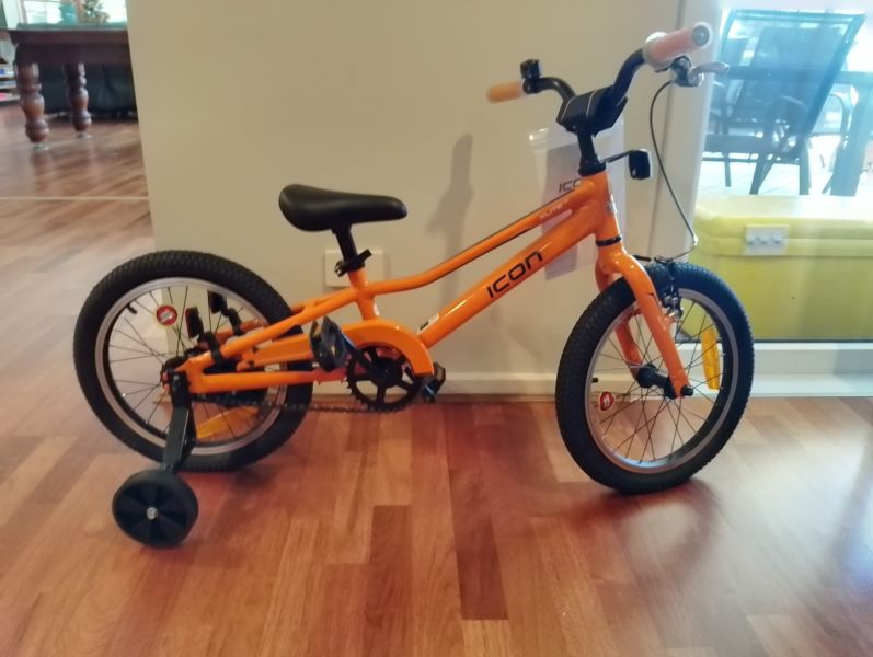 Gumtree childrens bikes online