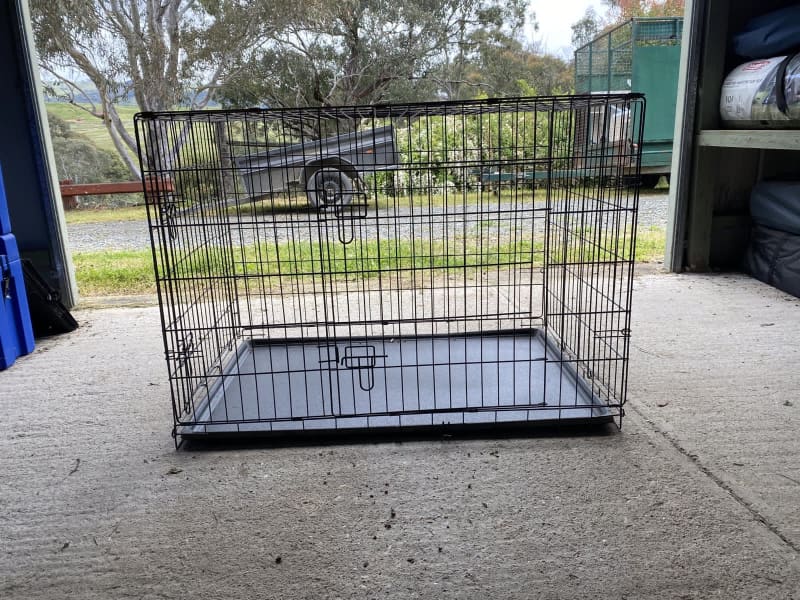 used medium dog crate