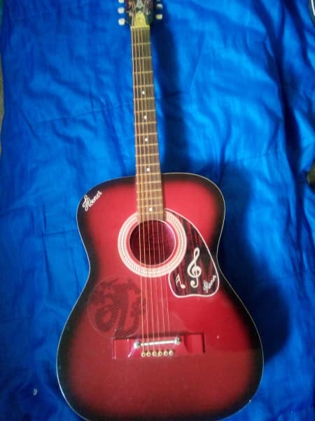 hovner acoustic guitar