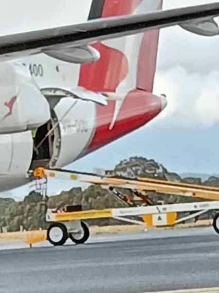 Animal Freight Australia62864726664322114
