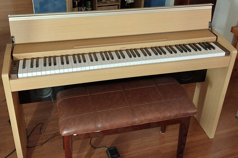 oreille Vagabond Tarif casio ps 3000 Inattendu Pardon Laquelle