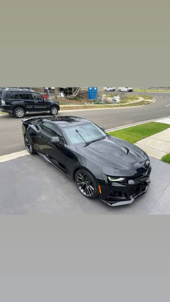 Paint protection and ceramic coatings 62937621981059114