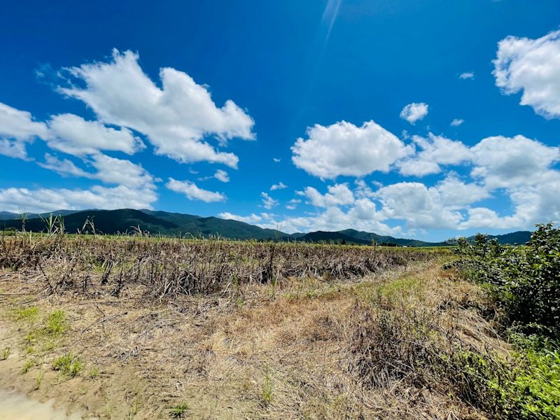 Just Over 7 Acres with Seasonal Creek !62886414072066114