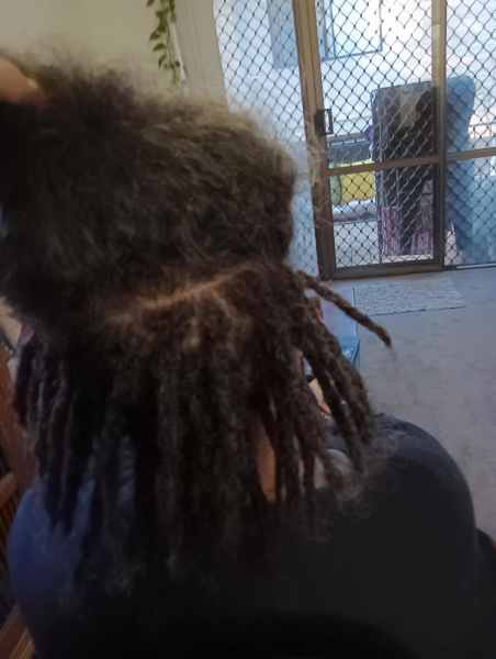 Dreadlock Maintenance 62863393580675112