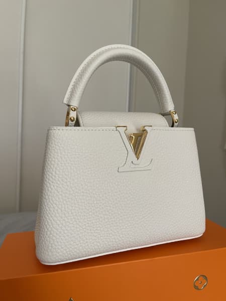 Brand new Louis Vuitton Diane 25x9x15, Accessories, Gumtree Australia  Inner Sydney - Surry Hills