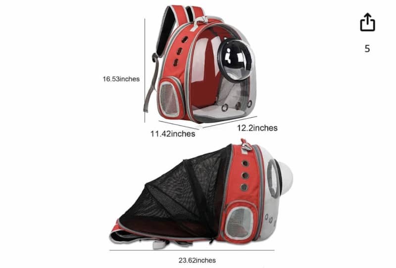 Top more than 162 cat carry bags australia best esthdonghoadian