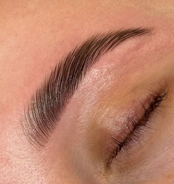 $10 Lash Lifts & Brown Lamination, Sculpt & Dye62863418226434111