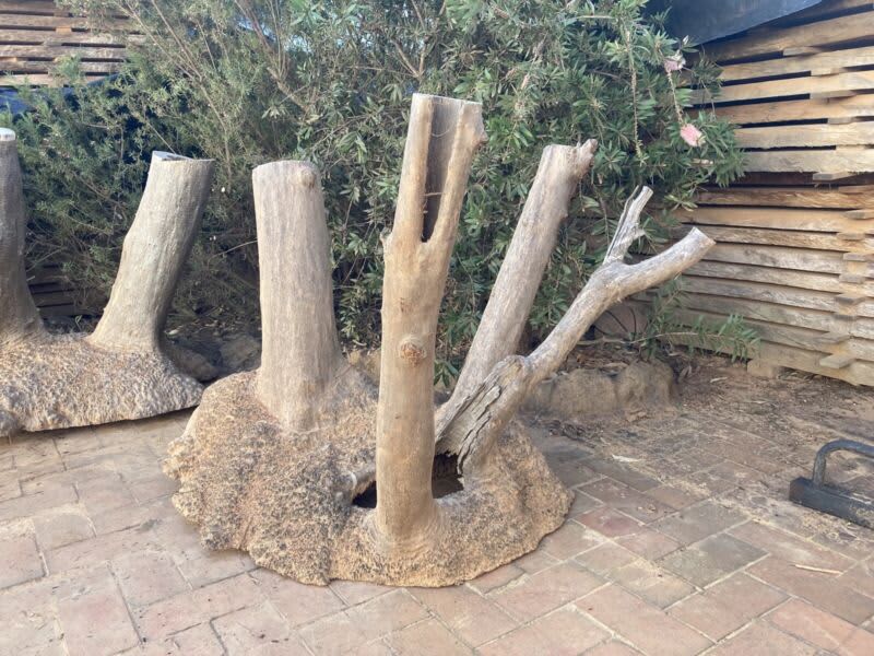 Mallee burl stumps for table bases - feature / decorations630084798391061120