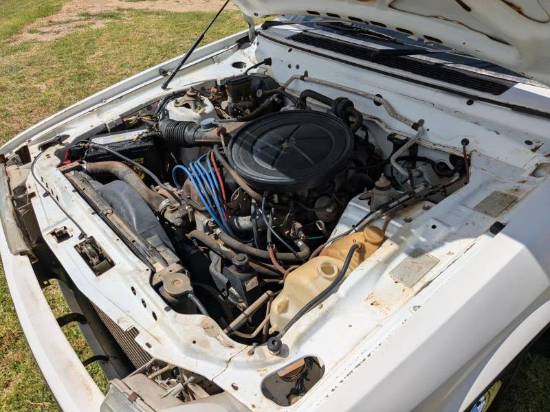 1987 Ford Falcon XF Panel Van62939537638659114