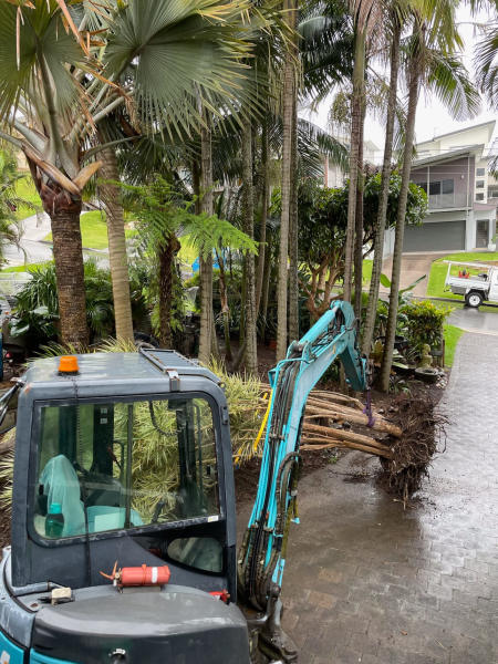 Excavator and Posi Track Hire with operator62863416978562111