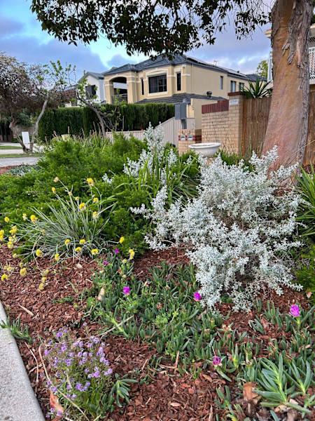 Landscaping & Gardening Services Morley62864726475139111