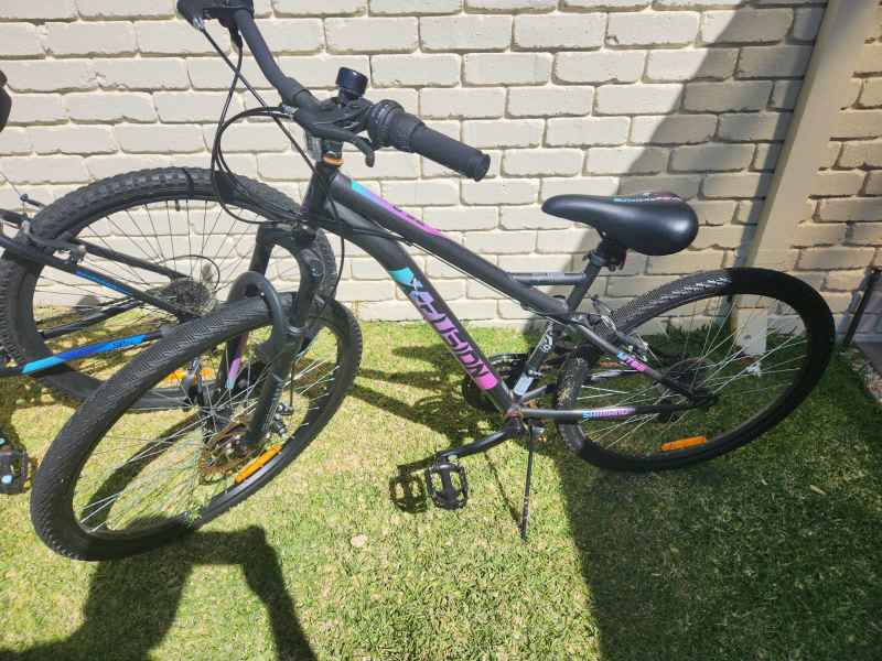 men's bicycles at kmart