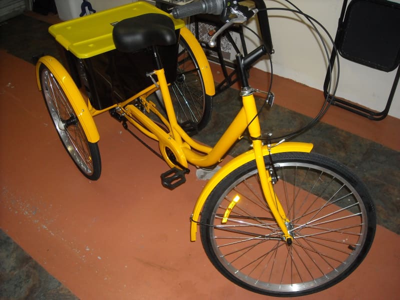 gumtree adult tricycle