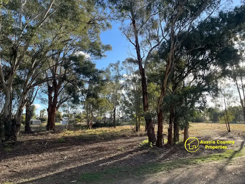 Build Your Dream Home in Beautiful Berrigan: Land for Sale Now!63006803021569114