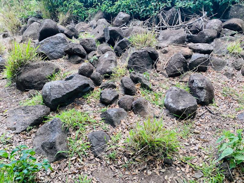 GIVEAWAY BUSH ROCKS62863393792899111