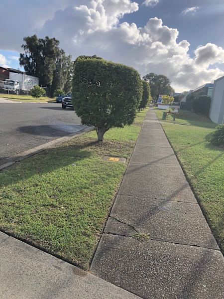 Lawn mowing and gardening62863417272194112