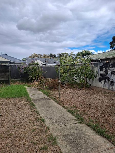 Clothesline 630075554241301121