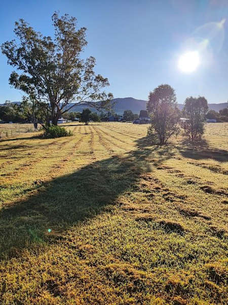 For Sale: 7 Narrabri Rd, Bingara, NSW 240463006841020803112
