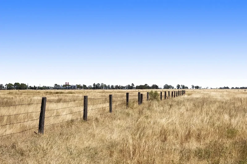 Lifestyle, Horses - 5acres63006483799810111