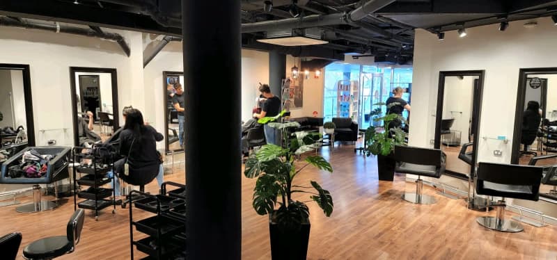 Beautiful Established hair salon perfect for owner operator | Business For Sale | Gumtree Australia North Sydney Area - North Sydney | 1309420739 Beautiful Established hair salon perfect for owner operator | Business For Sale | Gumtree Australia North Sydney Area - North Sydney | 1309420739