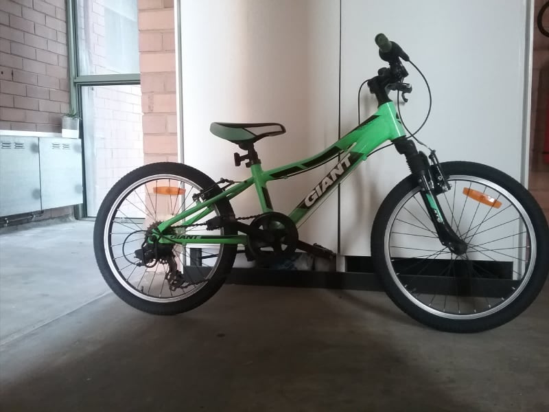 giant 20 inch bmx bike