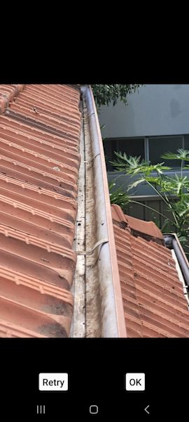 GUTTER CLEANING $25062995618569731112