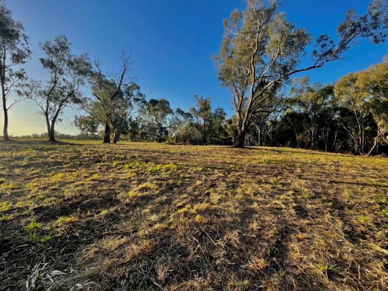 Milray Pocket Building Blocks On Mehi River62888426221058114