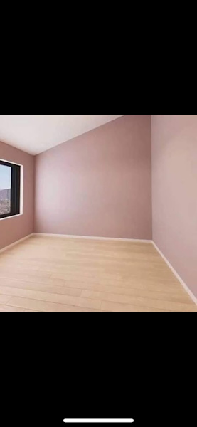 Professional painter best price in Perth 62864726685314114