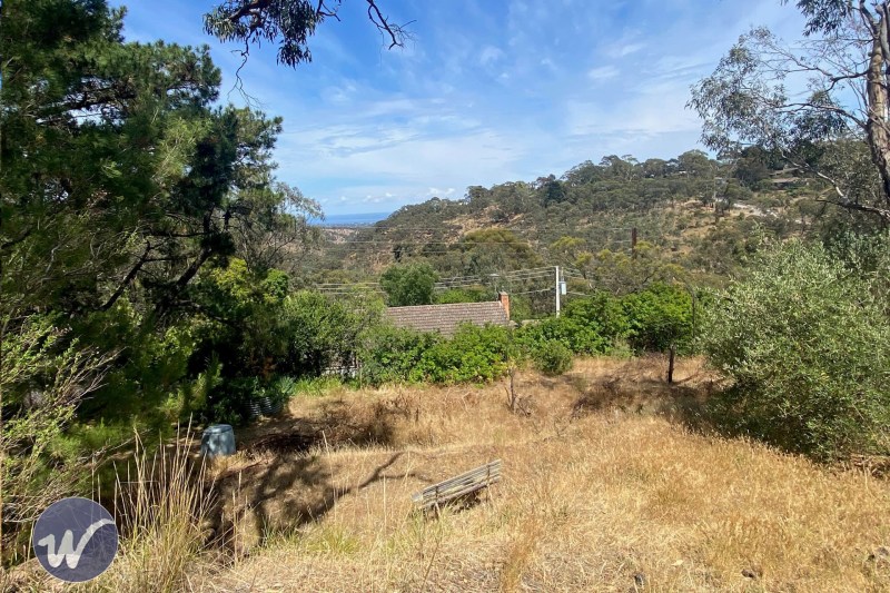 Stunning Vacant Land in Blackwood ? Opposite a Natural Reserve62885373931522112