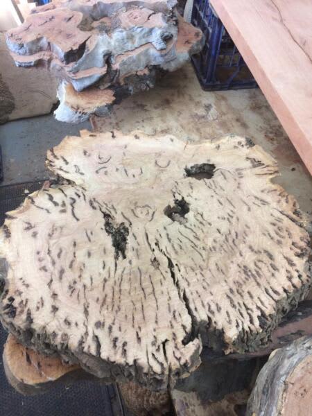 Hardwood live edge timber slab burl slices- from $10063008423324418112